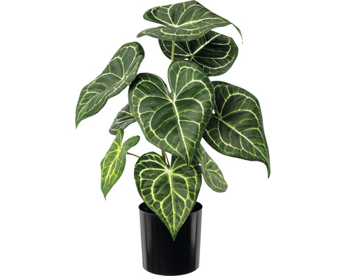 Plante artificielle Anthuria H 37 cm vert