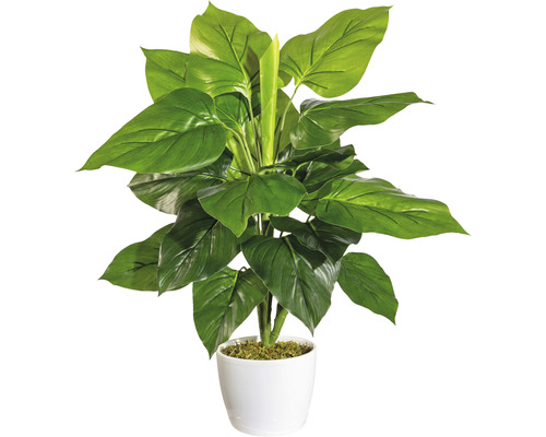 Kunstpflanze Philodendrohn H 50 cm grün