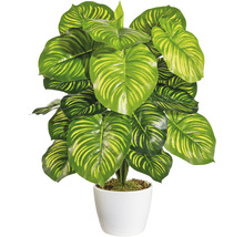 Plante artificielle avec des feuilles rayées dans un pot