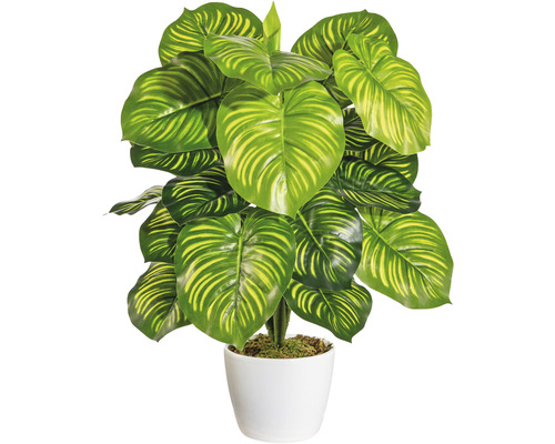 Kunstpflanze Maranta H 50 cm grün