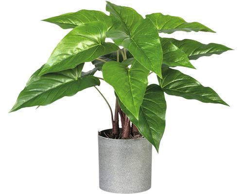 Plante artificielle Anthurium H 40 cm vert