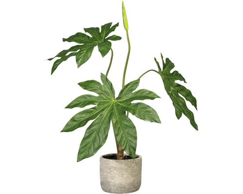 Kunstpflanze Aralie H 60 cm grün