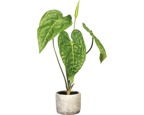 Kunstpflanze Anthurie H 60 cm grün