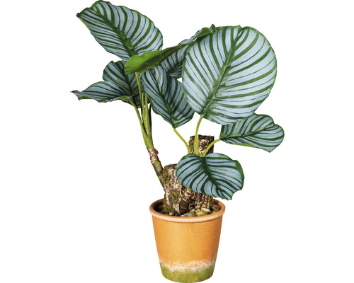 Kunstpflanze Calatheapflanze H 45 cm grün