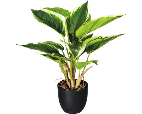 Plante artificielle Hosta h 35 cm vert