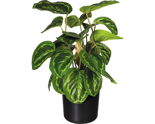 Plante artificielle Maranta h 45 cm vert