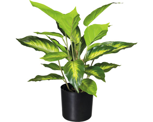 Plante artificielle Dieffenbachia h 45 cm vert