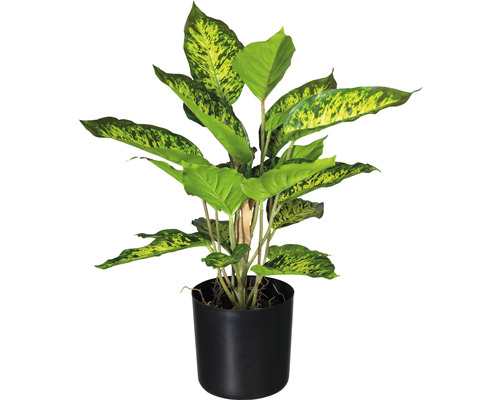 Kunstpflanze Dieffenbachia H 45 cm gemustert grün