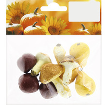 Dekorative Pilze und Äpfel im Beutel