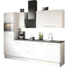 Cuisine équipée avec armoires, hotte aspirante et évier