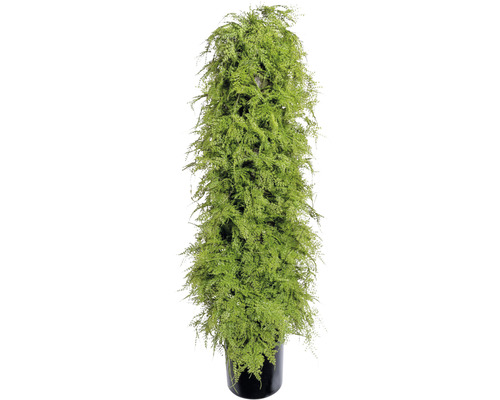 Kunstpflanze Asparagus H 120 cm grün