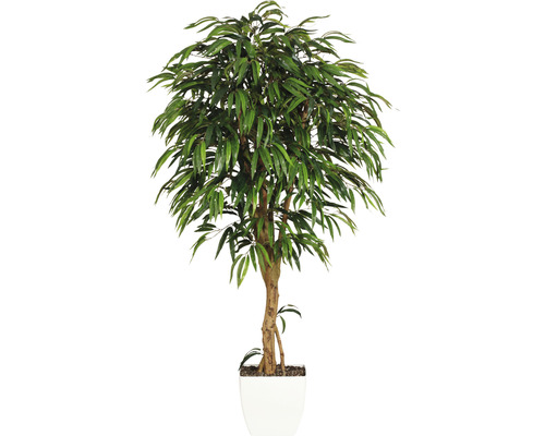 Kunstpflanze Weeping Ficus H 180 cm grün