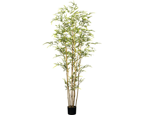 Kunstpflanze Bambus H 180 cm grün