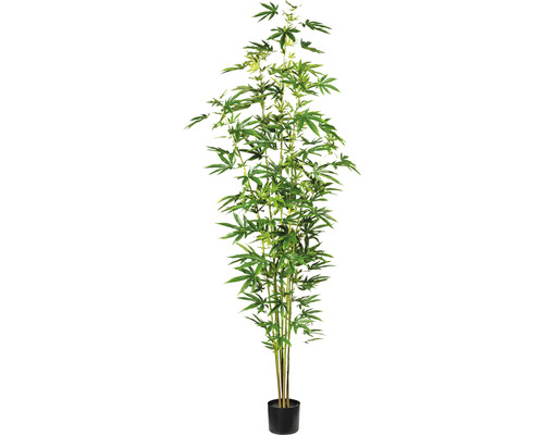Plante artificielle chanvre décoratif h 210 cm vert