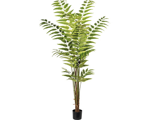 Kunstpflanze Lederfarn H 180 cm grün