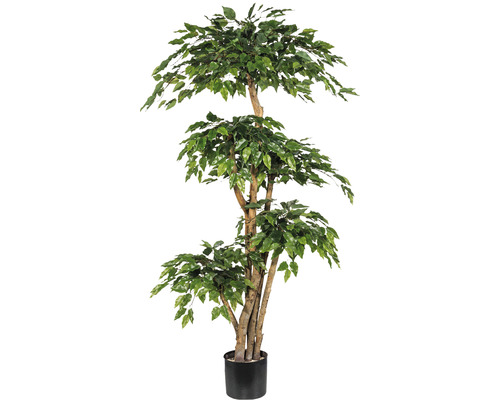 Kunstpflanze Ficus Benjamin H 170 cm grün