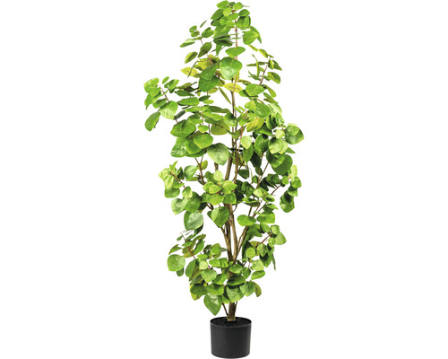 Kunstpflanze Eucalyptus H 105 cm grün