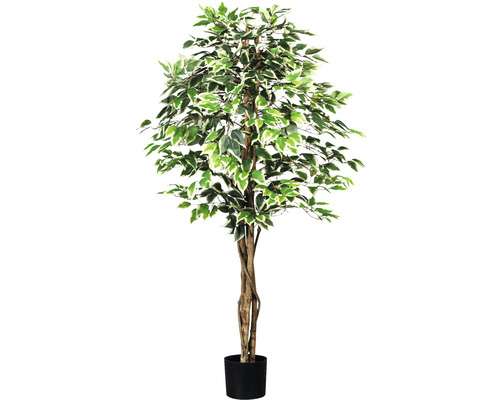 Plante artificielle Ficus Benjamin h 150 cm vert-blanc