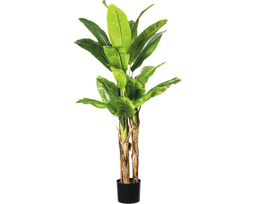 Plante artificielle bananier H 150 cm vert