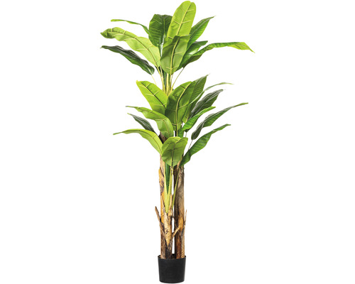 Kunstpflanze Bananenpflanze H 180 cm grün