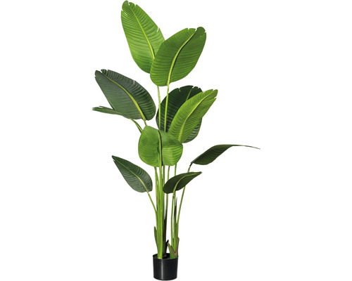 Kunstpflanze Strelitzia Nicolai H 160 cm grün