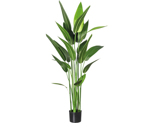 Plante artificielle Maranthe h 140 cm vert