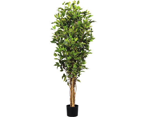 Plante artificielle Ficus Benjamina h 150 cm vert