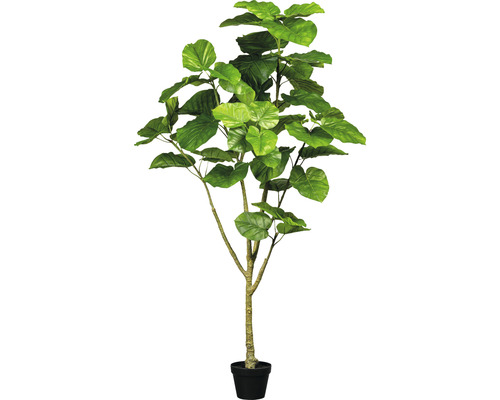 Kunstpflanze Ficus Umbellata H 175 cm grün