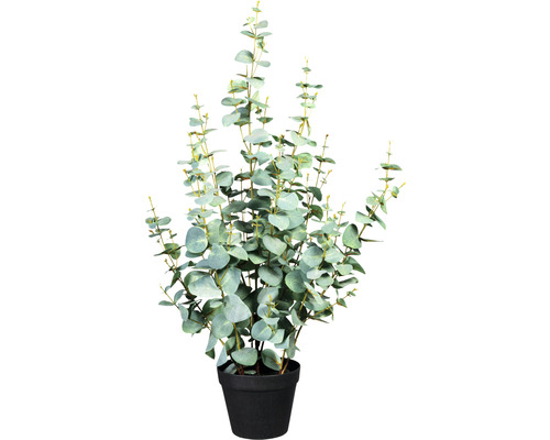 Plante artificielle Eucalyptus Silverdoller h 90 cm vert