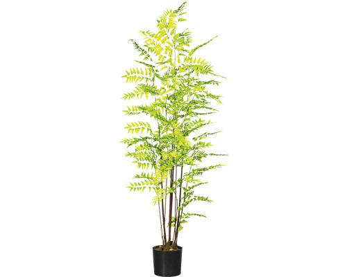 Kunstpflanze Goldschuppenfarn H 150 cm grün