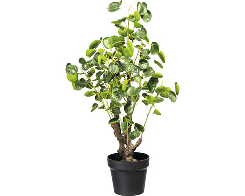 Plante artificielle Pilea peperomioides h 77 cm vert