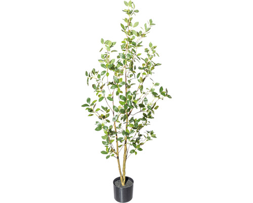 Kunstpflanze Ficus Ginseng H 130 cm grün