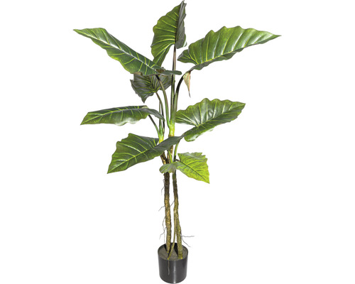 Plante artificielle Colocasia h 140 cm vert