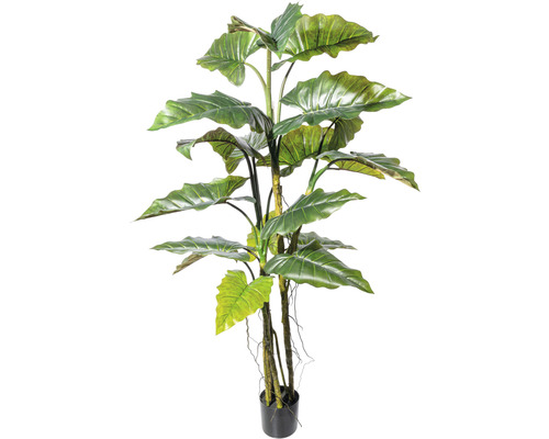 Plante artificielle Colocasia h 180 cm vert