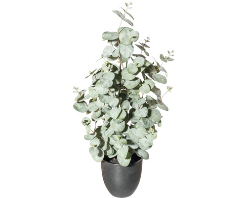 Kunstpflanze Eucalyptus H 60 cm grün