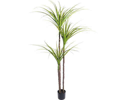 Kunstpflanze Drachenbaum H 180 cm grün