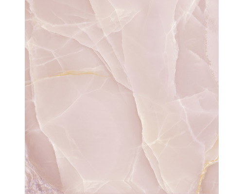 Wand- und Bodenfliese Lima rose 120x120cm glänzend rektifiziert