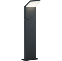 Lampe de jardin noire avec lumière LED