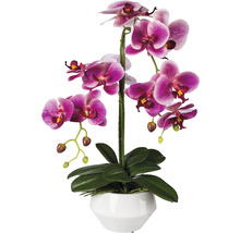 Fleur artificielle orchidée papillon Phalaenopsis h 52 cm rose vif