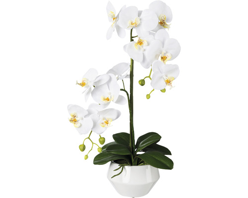 Plante artificielle Phalaenopsis h 52 cm blanc