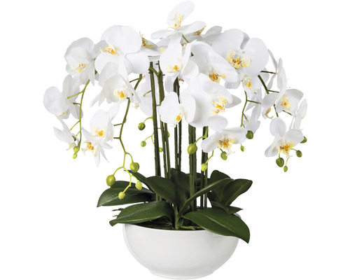 Plante artificielle Phalaenopsis h 54 cm blanc