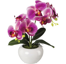 Orchidee in einem weißen Übertopf