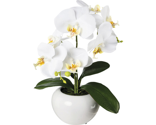 Kunstpflanze Phalaenopsis H 35 cm weiß