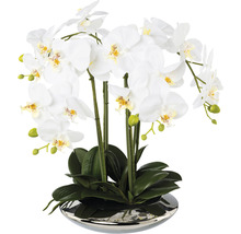 Künstliche weiße Orchidee im Topf