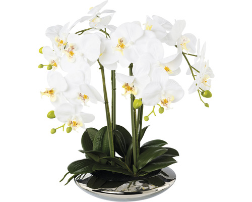 Plante artificielle Phalaenopsis h 41 cm blanc