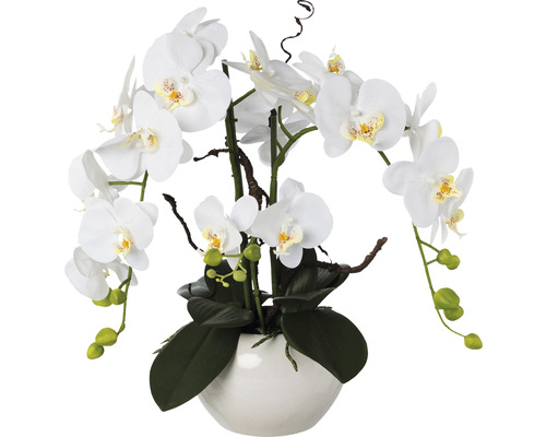 Plante artificielle arrangement Phalaenopsis h 55 cm blanc