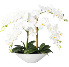 Orchidée blanche décorative en pot