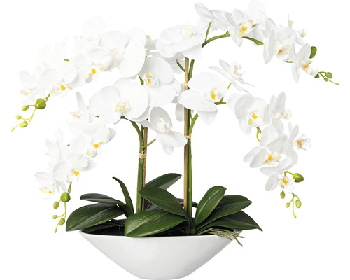 Plante artificielle Phalaenopsis h 53 cm blanc