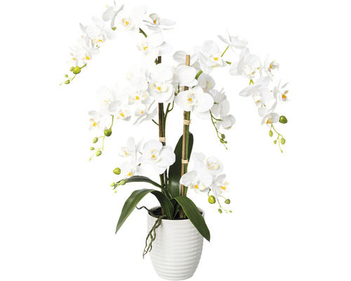 Plante artificielle Phalenopsis h 67 cm blanc
