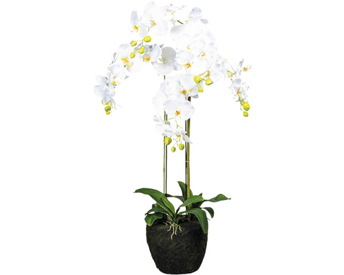 Plante artificielle Phalaenopsis h 100 cm blanc